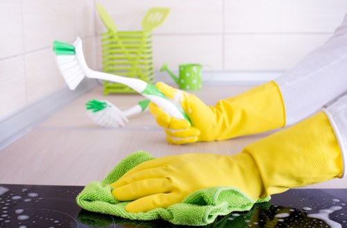 Technician applying safe cleaning methods in a property