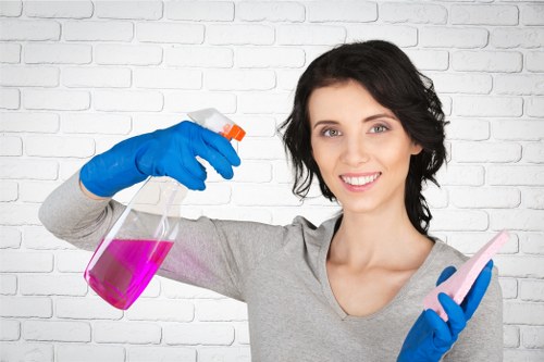 Inspection of carpet cleaning equipment and safety checks